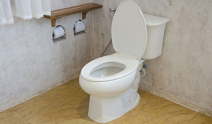 low flow vs regular toilets