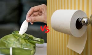 wet wipes vs toilet paper