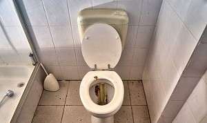 how-much-water-does-it-take-to-flush-a-toilet