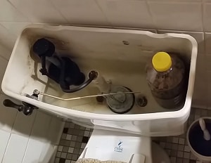 toilet-flush-volume