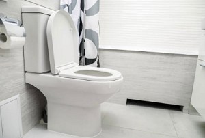standard-commode