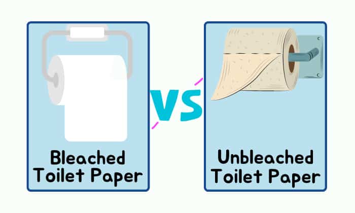 toilet-paper-types