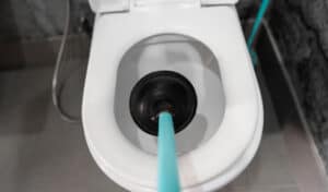 how to unclog a toilet with poop still in it