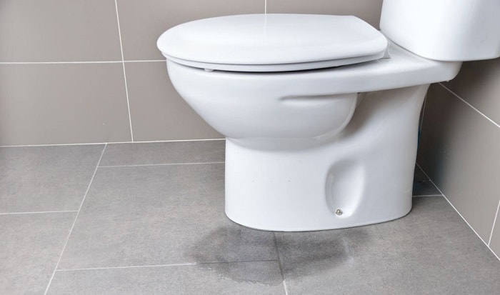 toilet-bowl-leaking