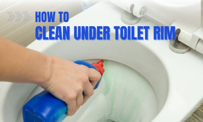 how to clean under toilet rim