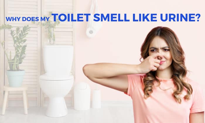 why does my toilet smell like urine