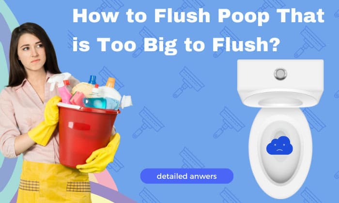 how to flush poop that is too big to flush