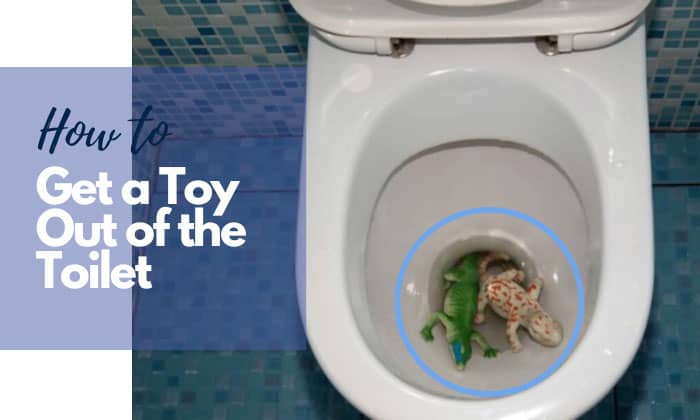 how to get a toy out of the toilet