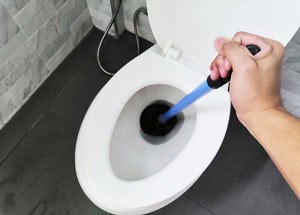 remove-object-from-toilet-trap