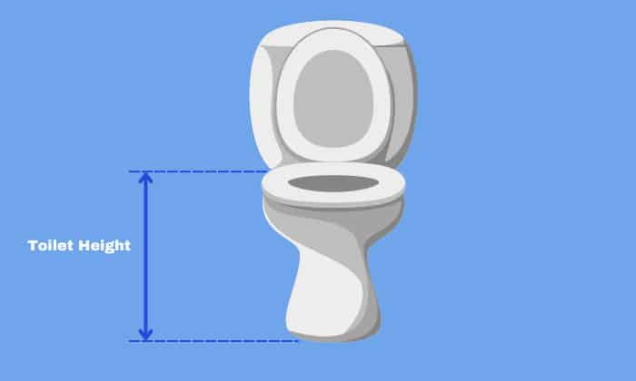 tallest-toilet-for-elderly