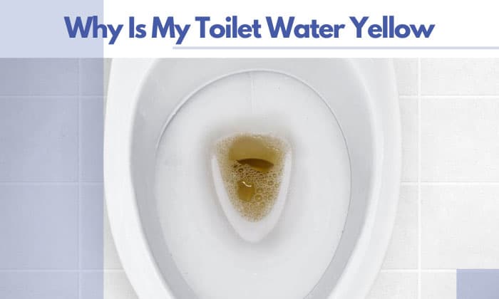 why is my toilet water yellow