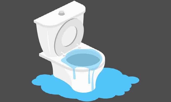 toilet-overflowing-when-flushed