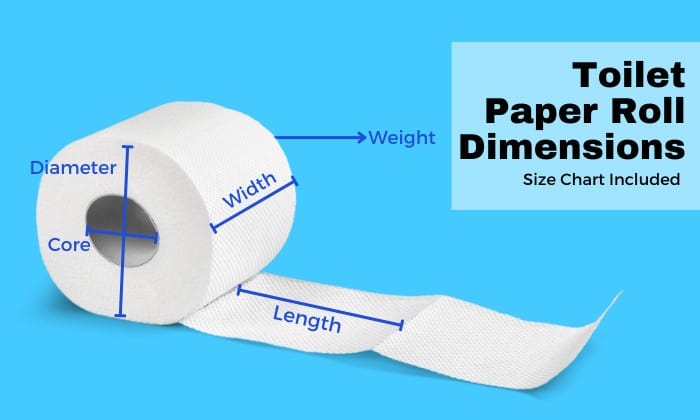 toilet paper roll dimensions