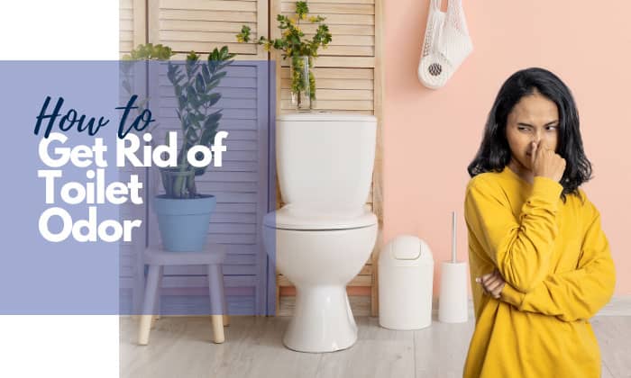 how to get rid of toilet odor