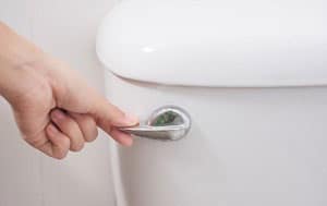 cleaning-ring-in-toilet
