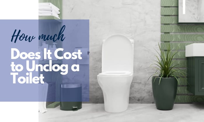 how much does it cost to unclog a toilet