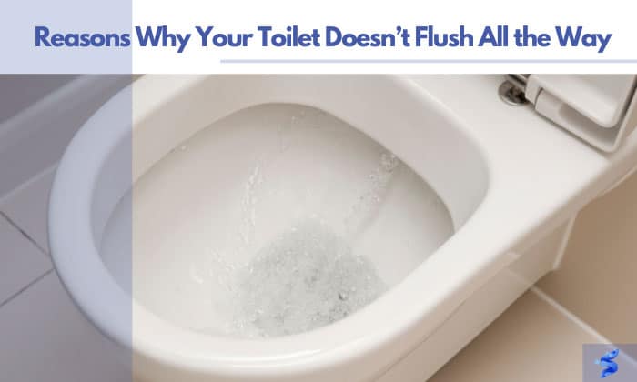 reasons why your toilet doesn't flush all the way