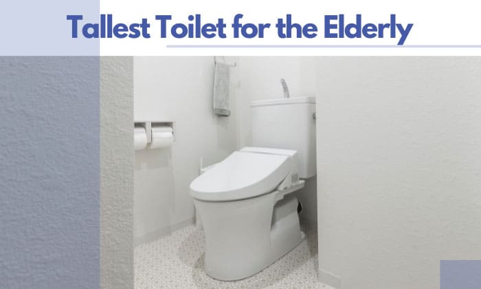 tallest toilet for elderly