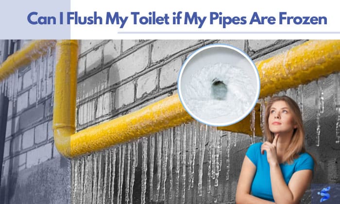 can i flush my toilet if my pipes are frozen