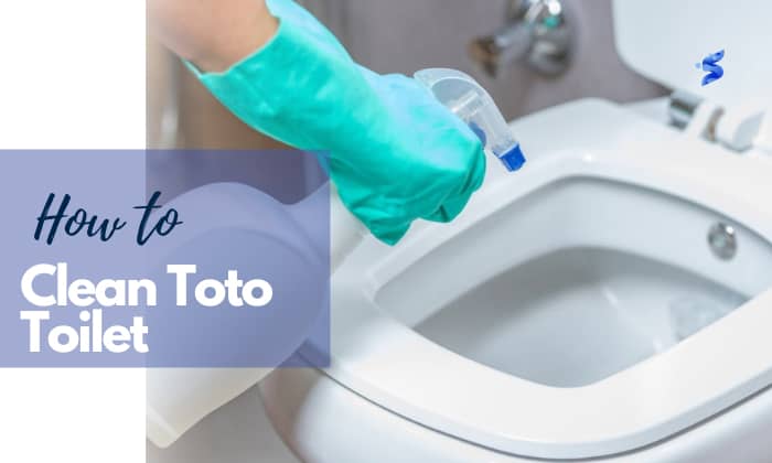 how to clean toto toilet