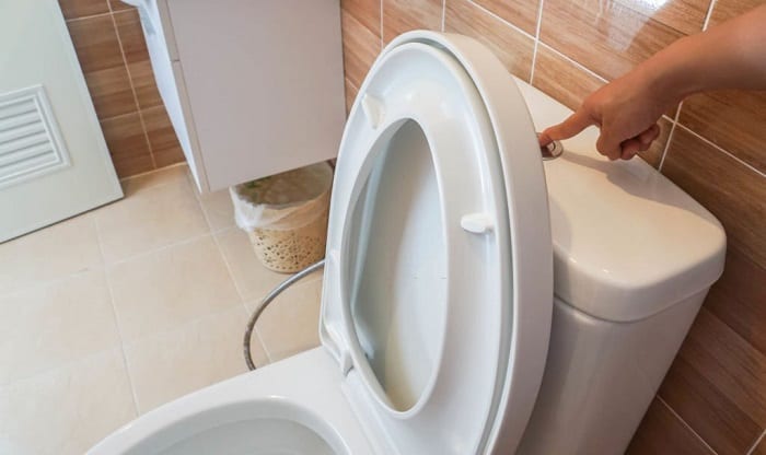 causes-the-toilet-to-squeal-when-flushed