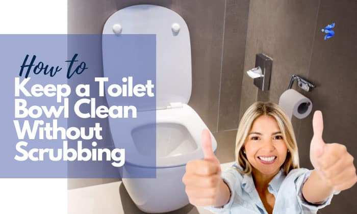 how to keep a toilet bowl clean without scrubbing