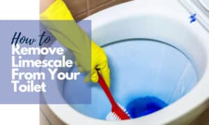 how to remove limescale from your toilet