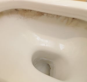 make-a-toilet-flush-better