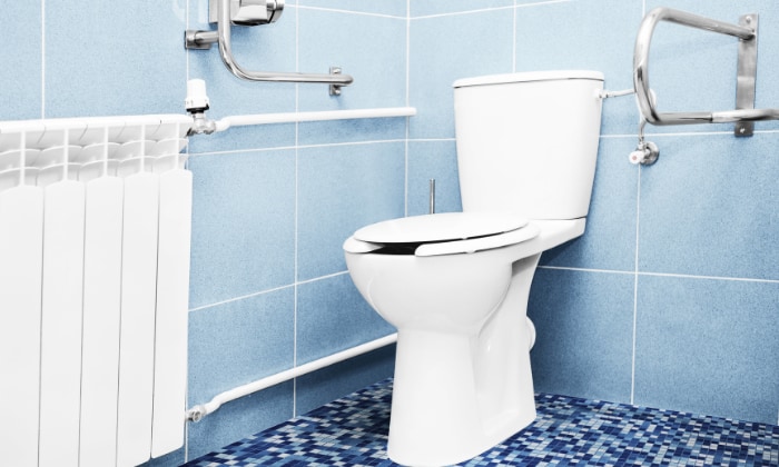 pressure-assisted-flush-toilet