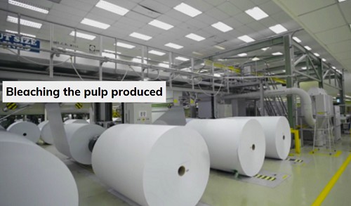 bamboo-toilet-paper-manufacturing-process
