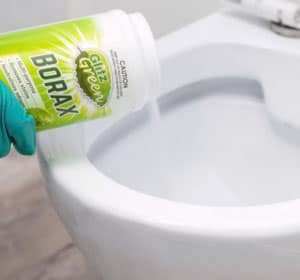 Borax-to-get-rid-of-black-mold-in-toilet