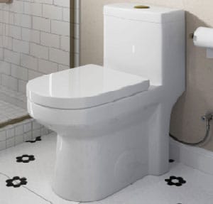 Luxury-Modern-Home-Carus-Small-Toilets