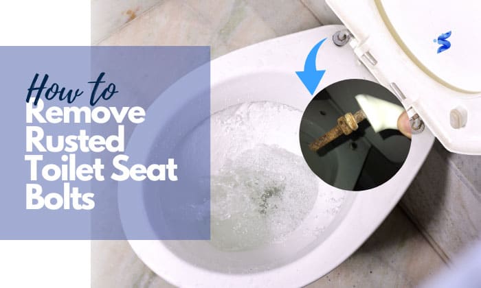 how to remove rusted toilet seat bolts