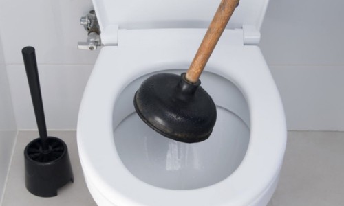 Unclog-Sing-the-Good-Old-Plunger