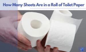 how many sheets are in a roll of toilet paper