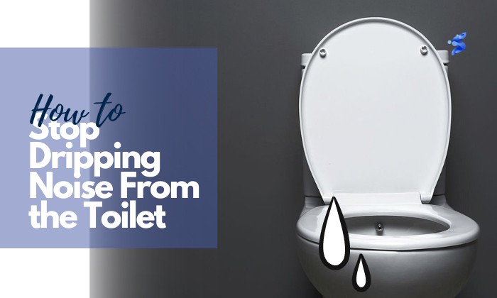 how to stop dripping noise from toilet