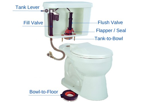 toilet-keeps-flushing-after-flush
