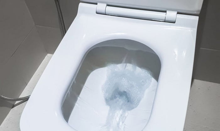 toilet-that-flushes-itself