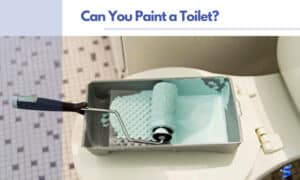 can you paint a toilet