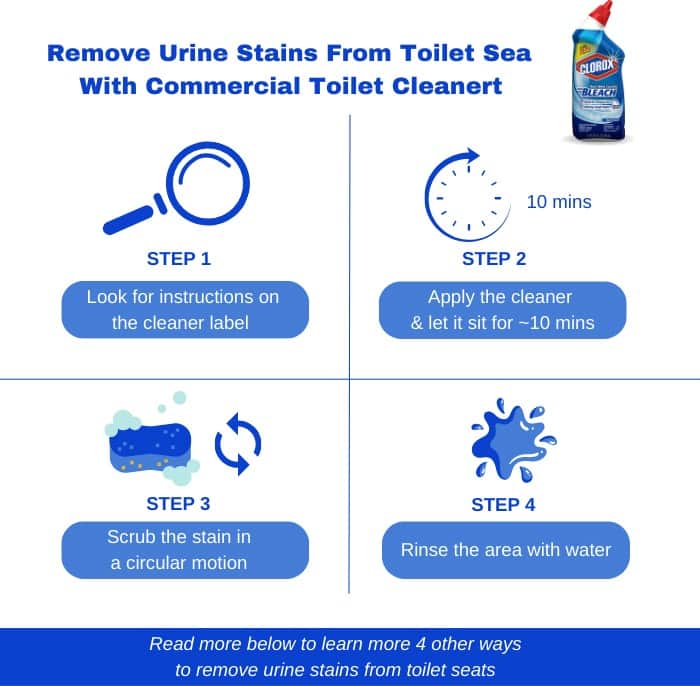 remove-urine-stains-from-toilet-sea-with-commercial-toilet-cleanert